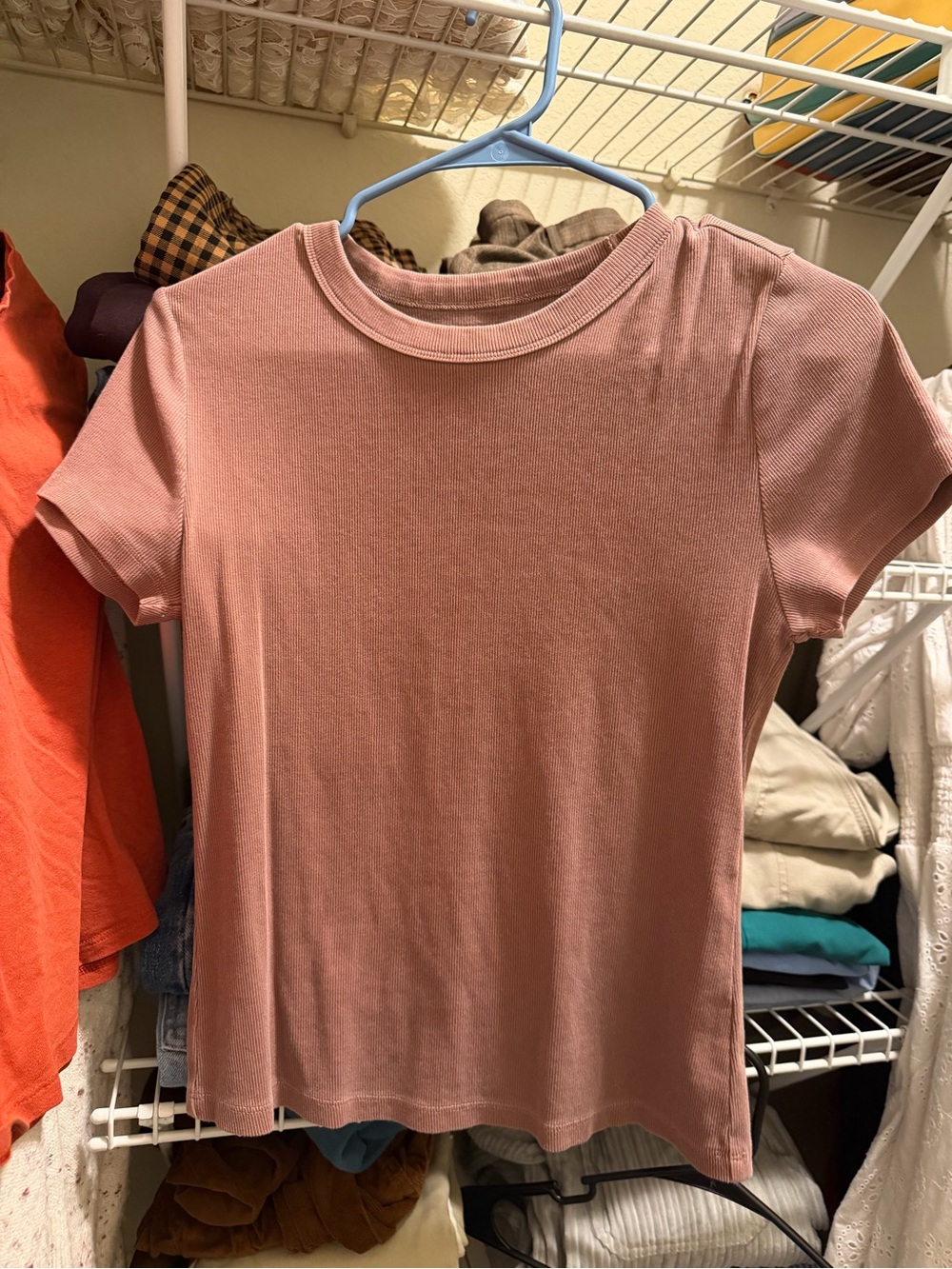 Basic Ribbed Short-Sleeve Tee in Dusty Rose (More Brown)
